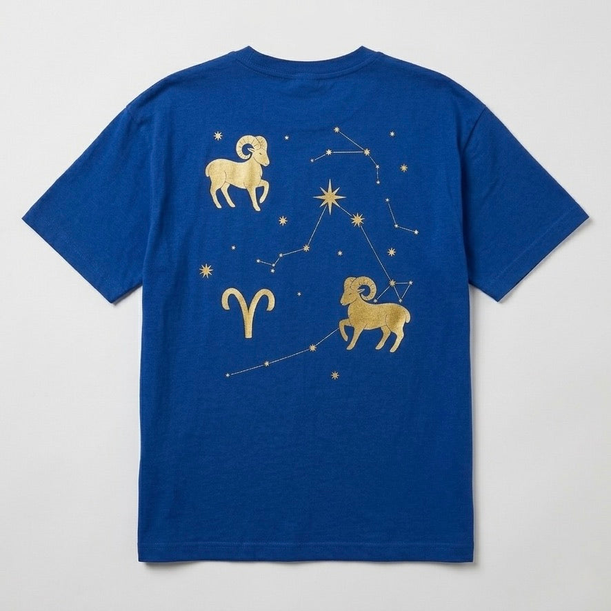 ARIES CELESTIAL MAP