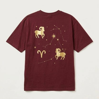 ARIES CELESTIAL MAP