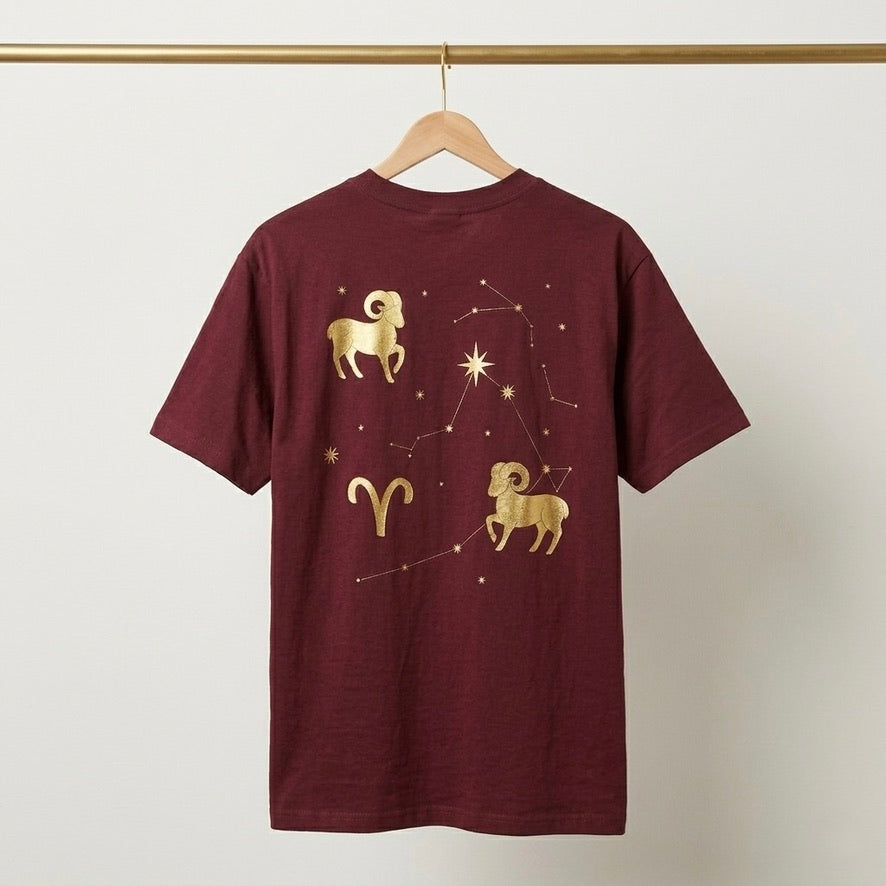 ARIES CELESTIAL MAP